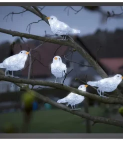 Konstsmide, guirlandes lumineuses de Noël 5 Oiseaux Lumineux A Led