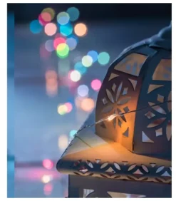 Konstsmide, guirlandes lumineuses de Noël Guirlande Lumineuse Avec Changement De Couleur, 50 Diodes Led