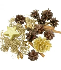 Riffelmacher et Weinberger Pot Pourri Melange Pomme De Pin, Cannelle, Mousse, Déco, 100 G